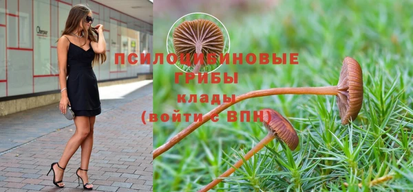 прущий лед Белокуриха