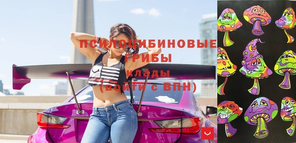 прущий лед Белокуриха