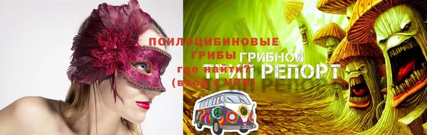 прущий лед Белокуриха